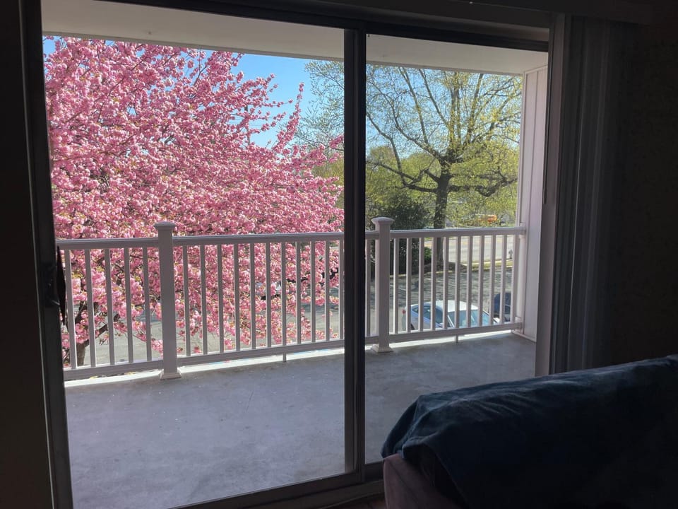 Modern 2BR2BA Extended Stay Discounts Apartment in Jenkintown