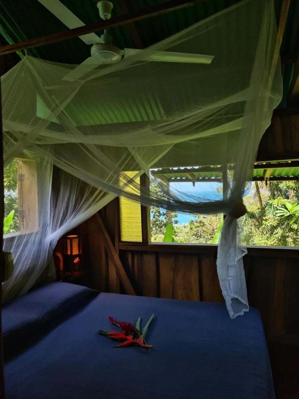 Bed, Natural landscape, View (from property/room), Photo of the whole room, Bedroom