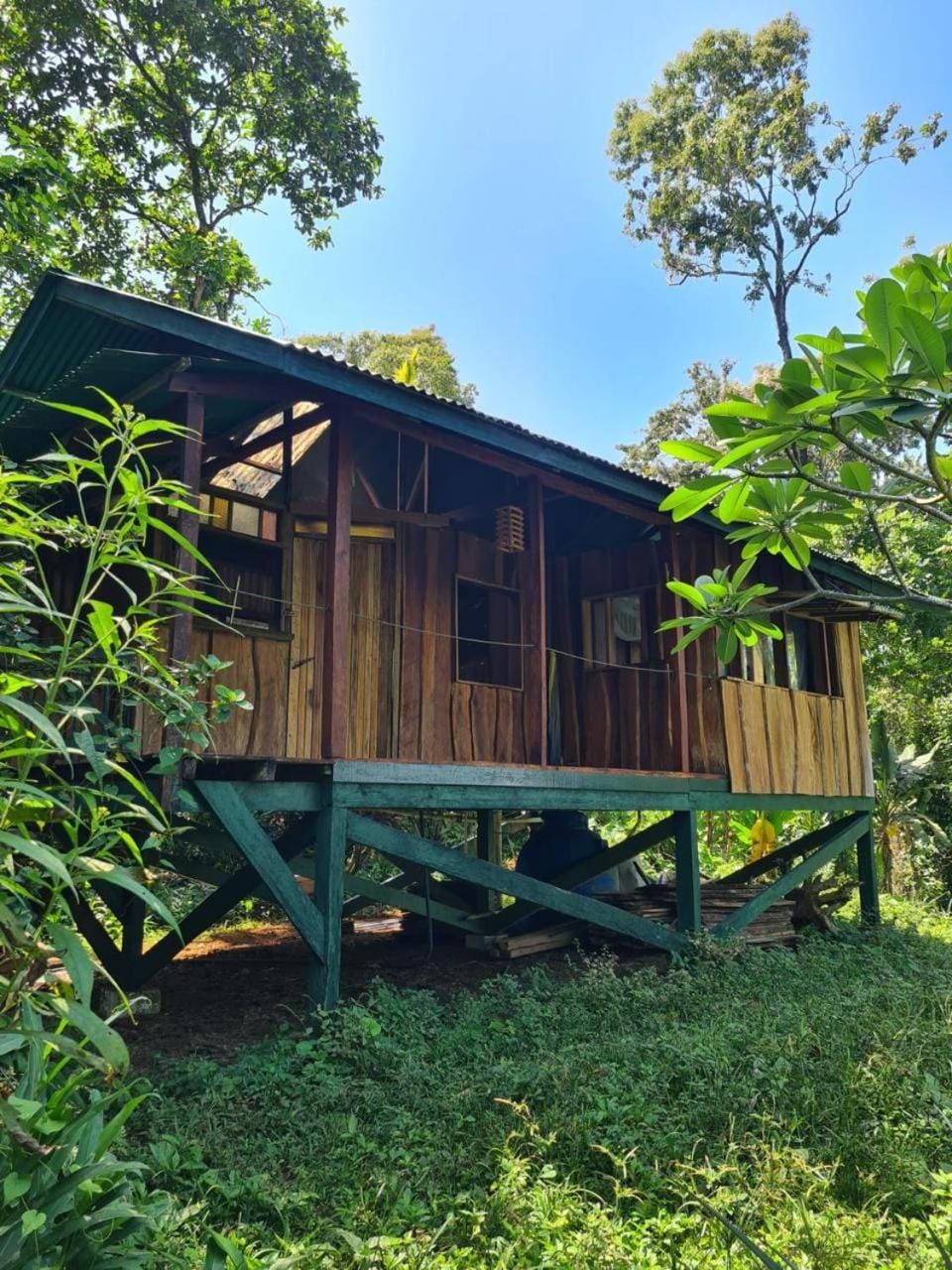 Property building, Day