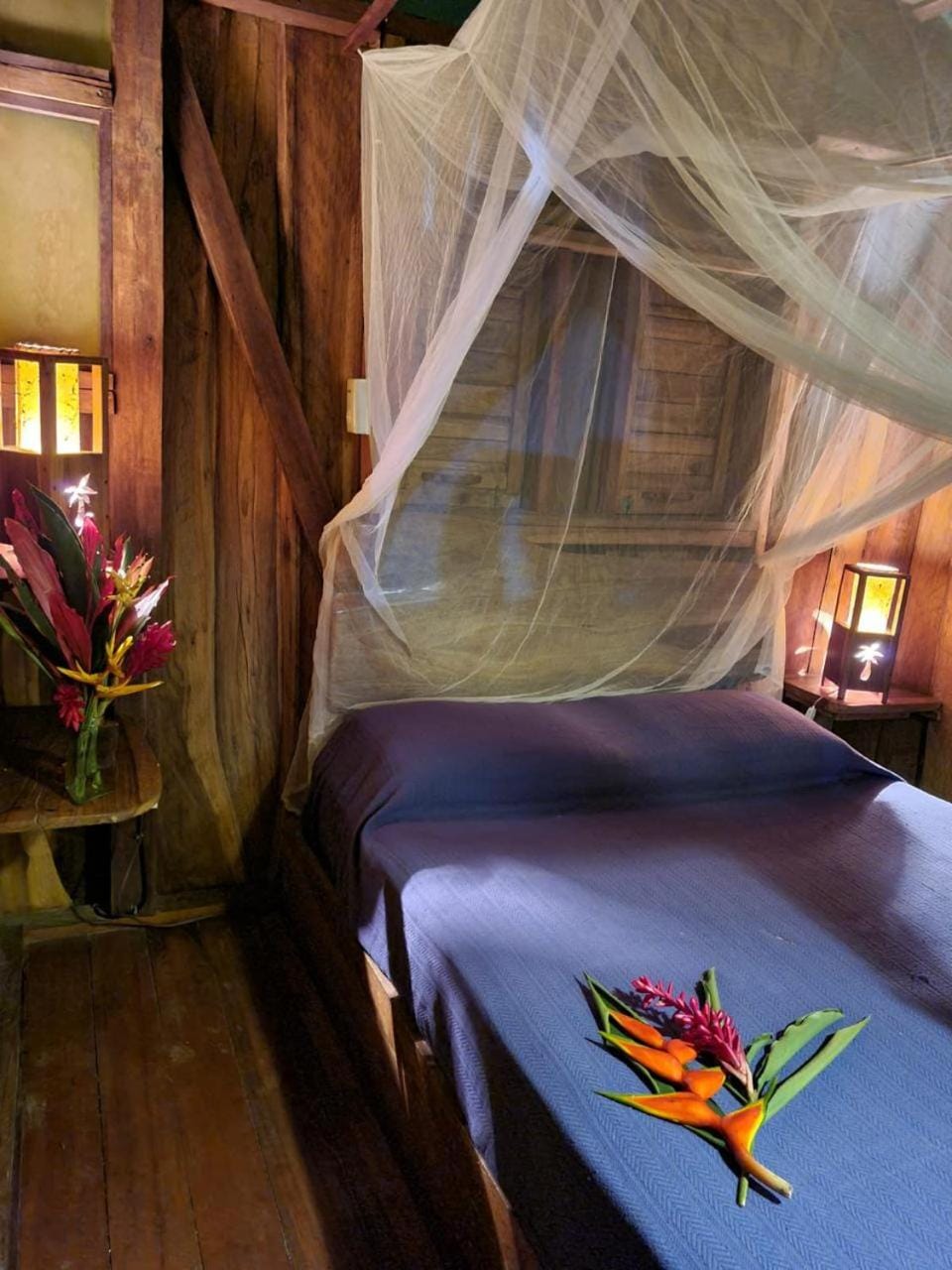 Bed, Night, Bedroom