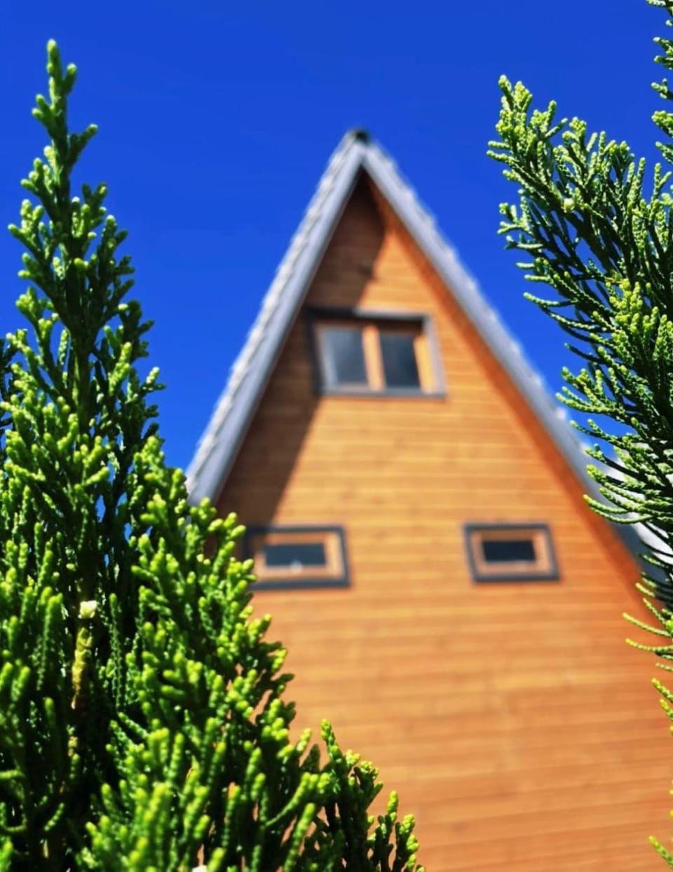 Canyons Chalet Nature lodge in State of Santa Catarina