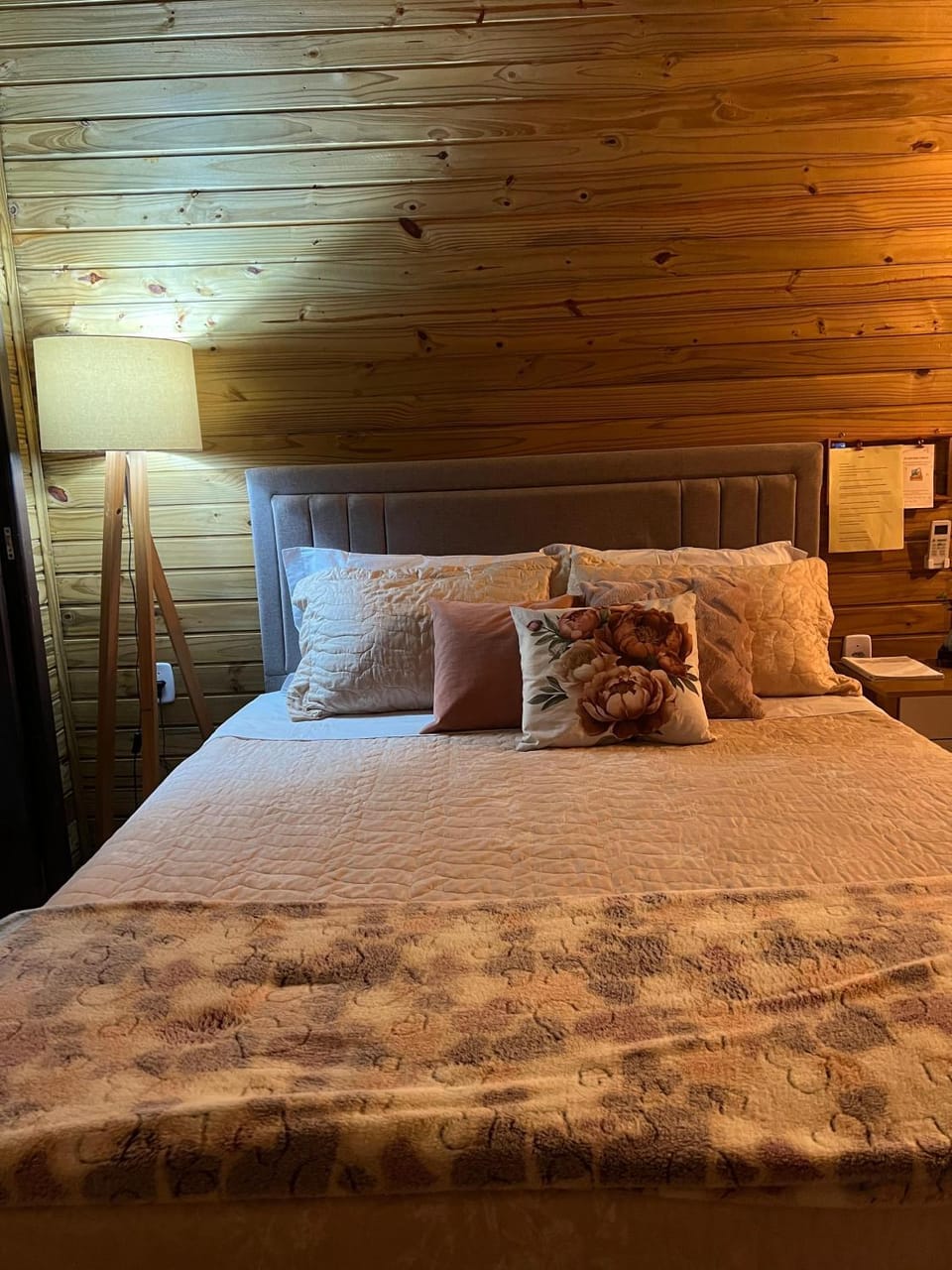 Bed