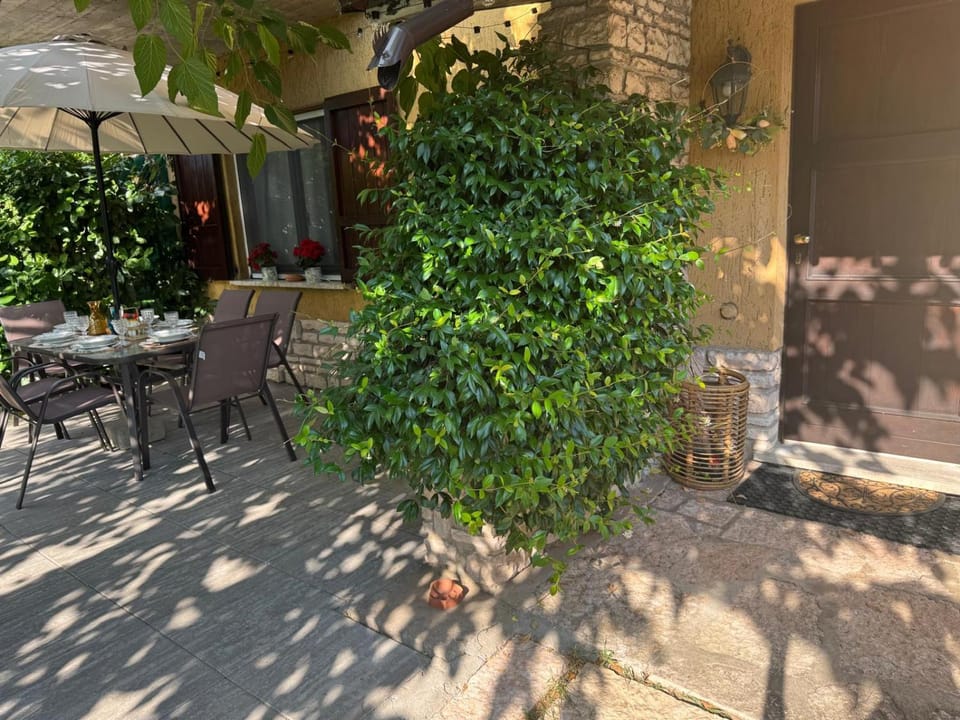 Natural landscape, Balcony/Terrace, Dining area