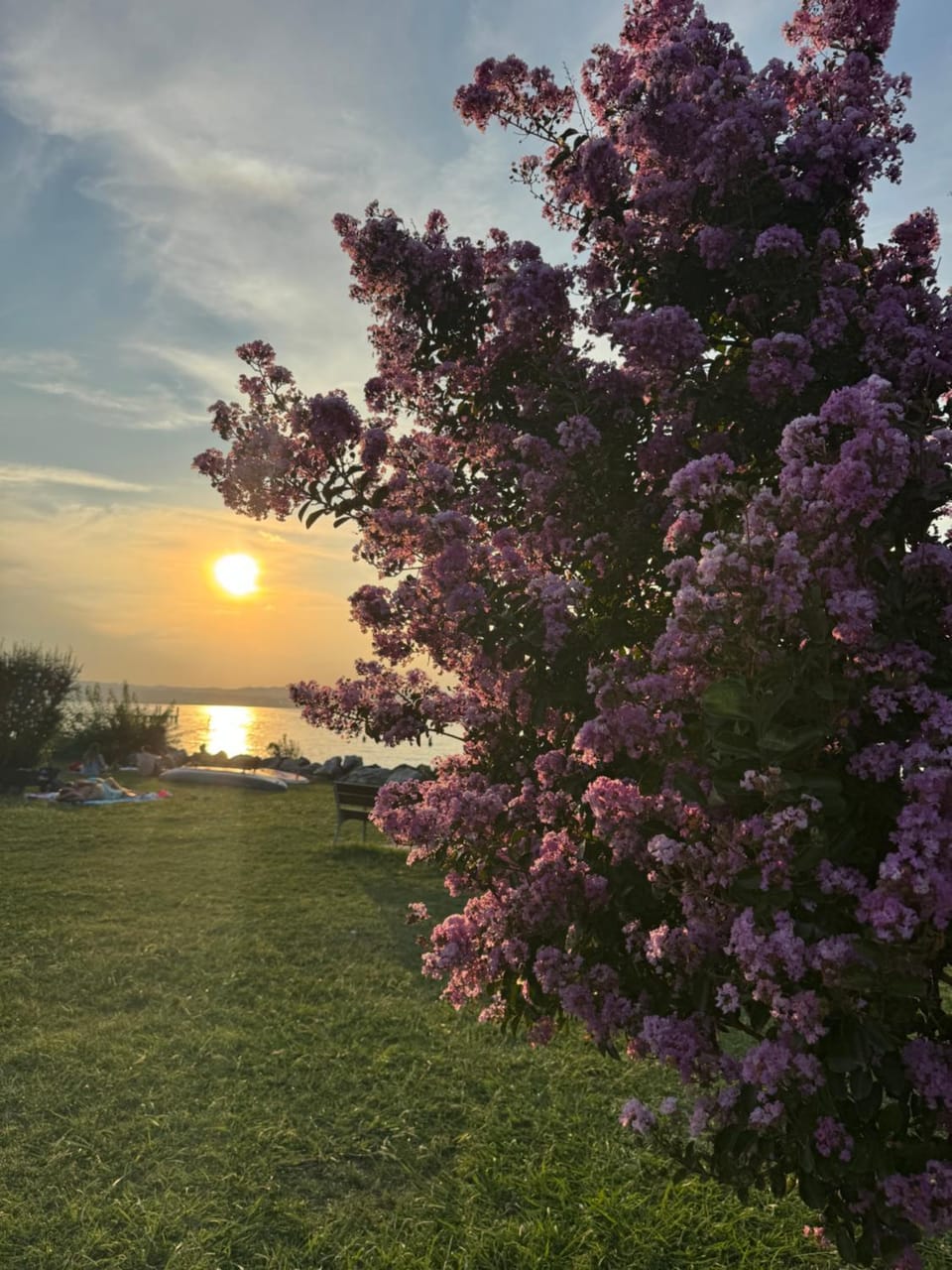 Natural landscape, Lake view, Sunset