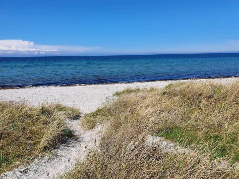 11152-Nykobing-Sj-Vibo-Strandvej-12 House in Zealand