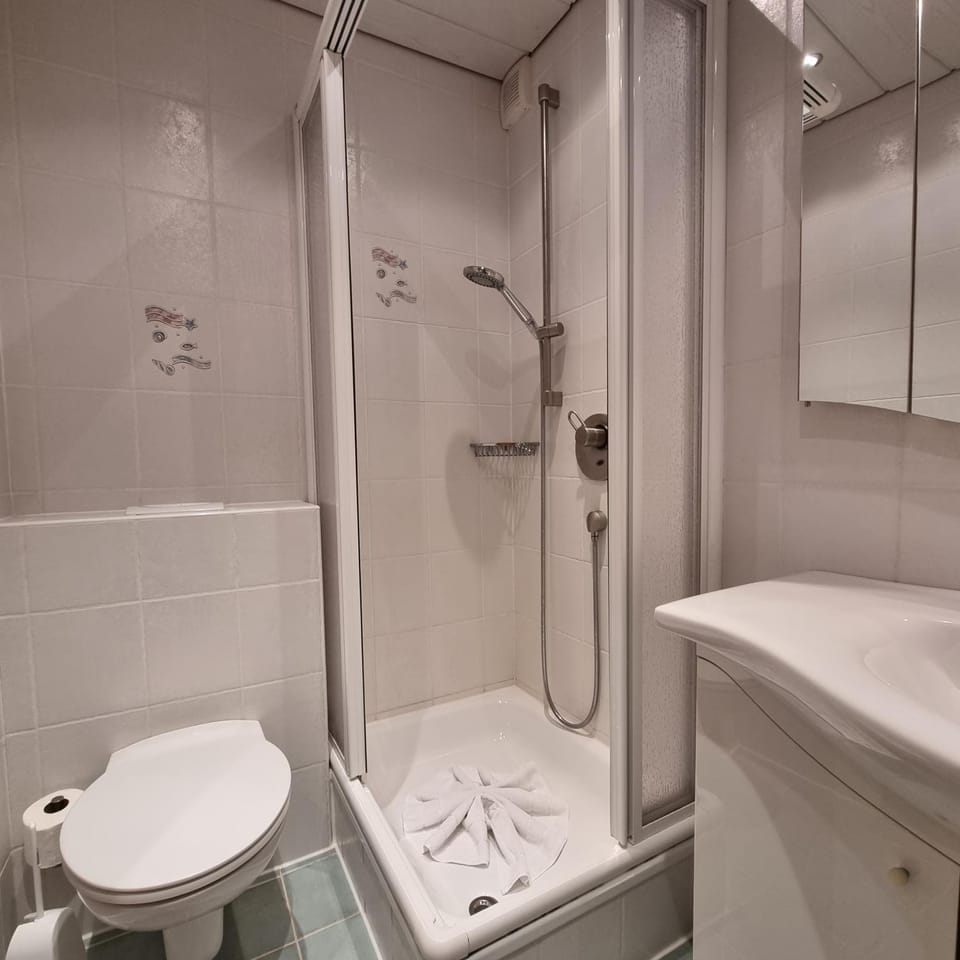 Shower, Toilet, Bathroom, towels