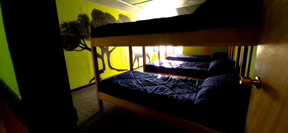 Photo of the whole room, bunk bed