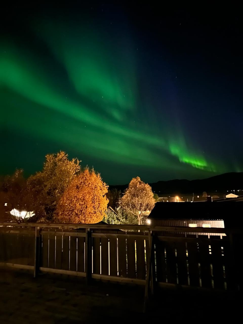 Night, Garden view