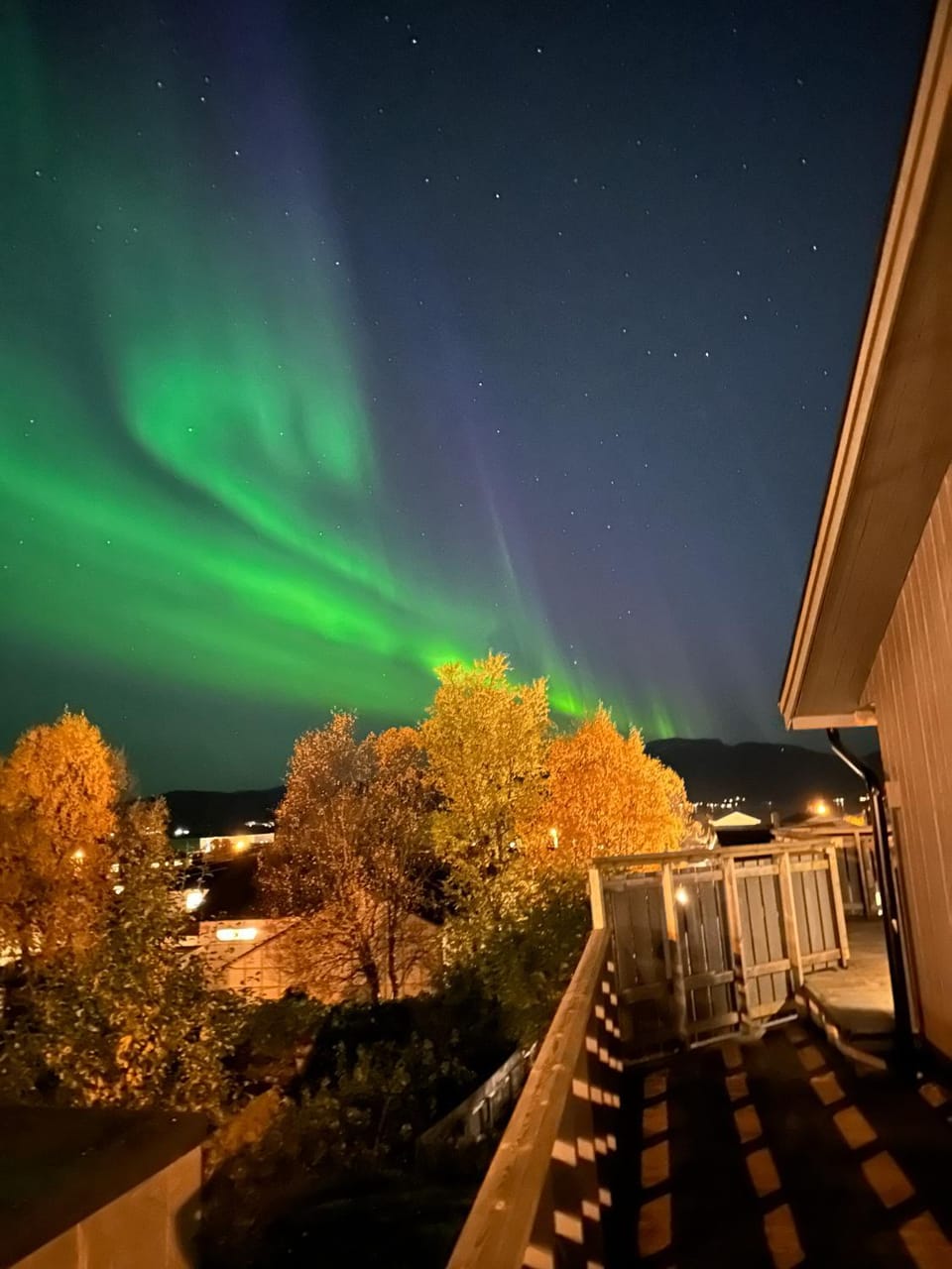 Night, Garden view