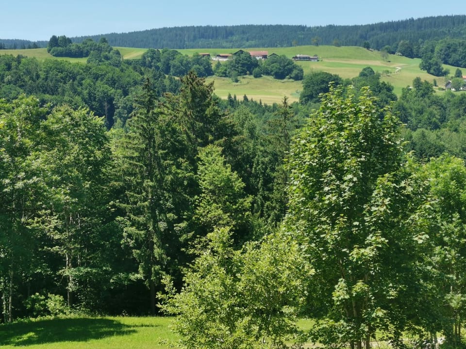 Natural landscape