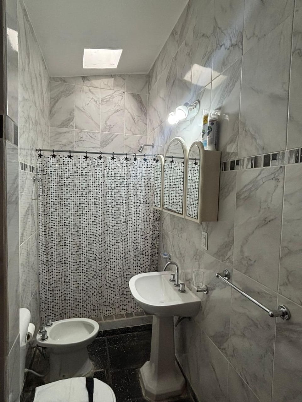 Shower, Toilet, Bathroom, bidet