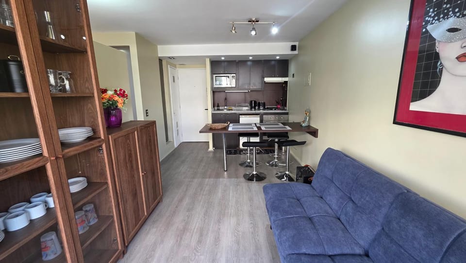 Oceana Suites Providencia Apartment in Providencia