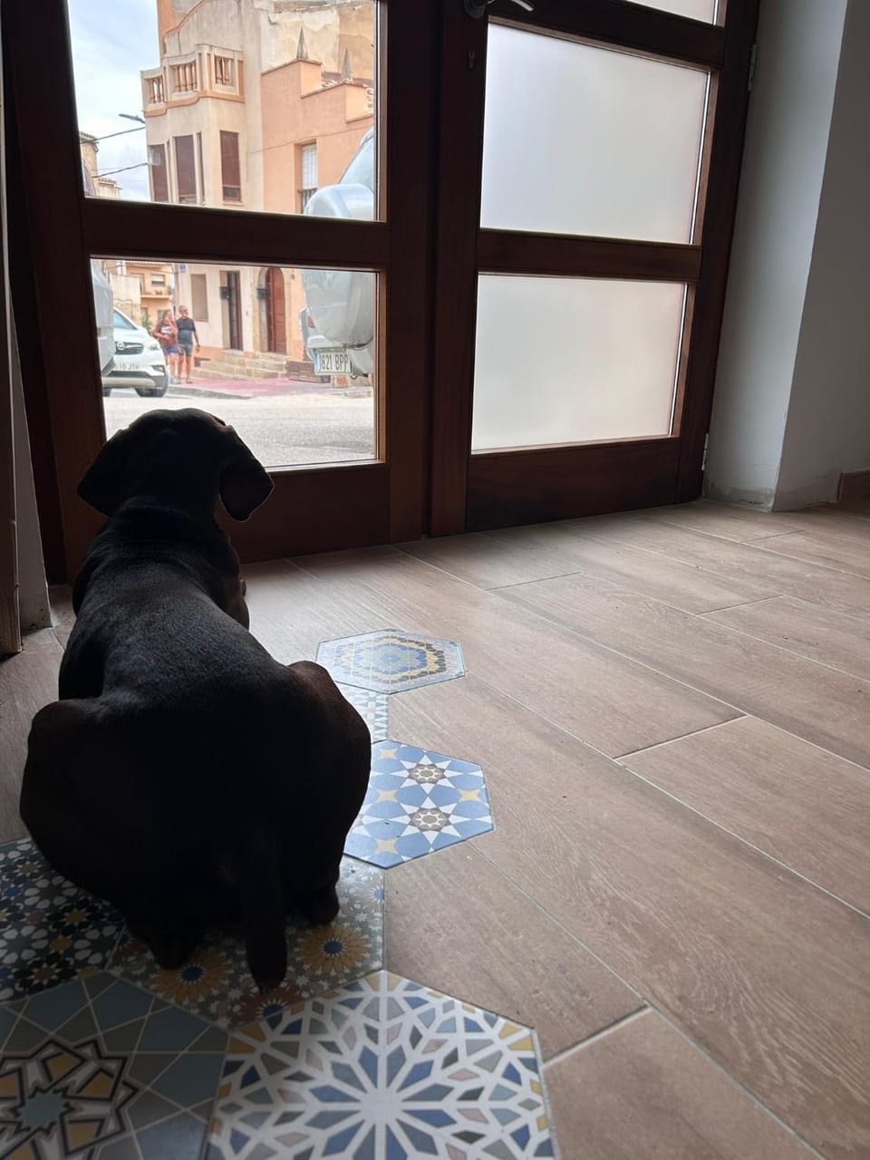Lobby or reception, Pets