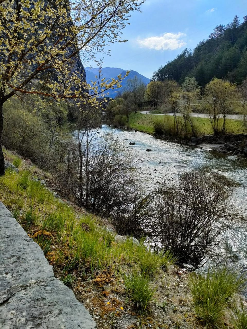 Natural landscape