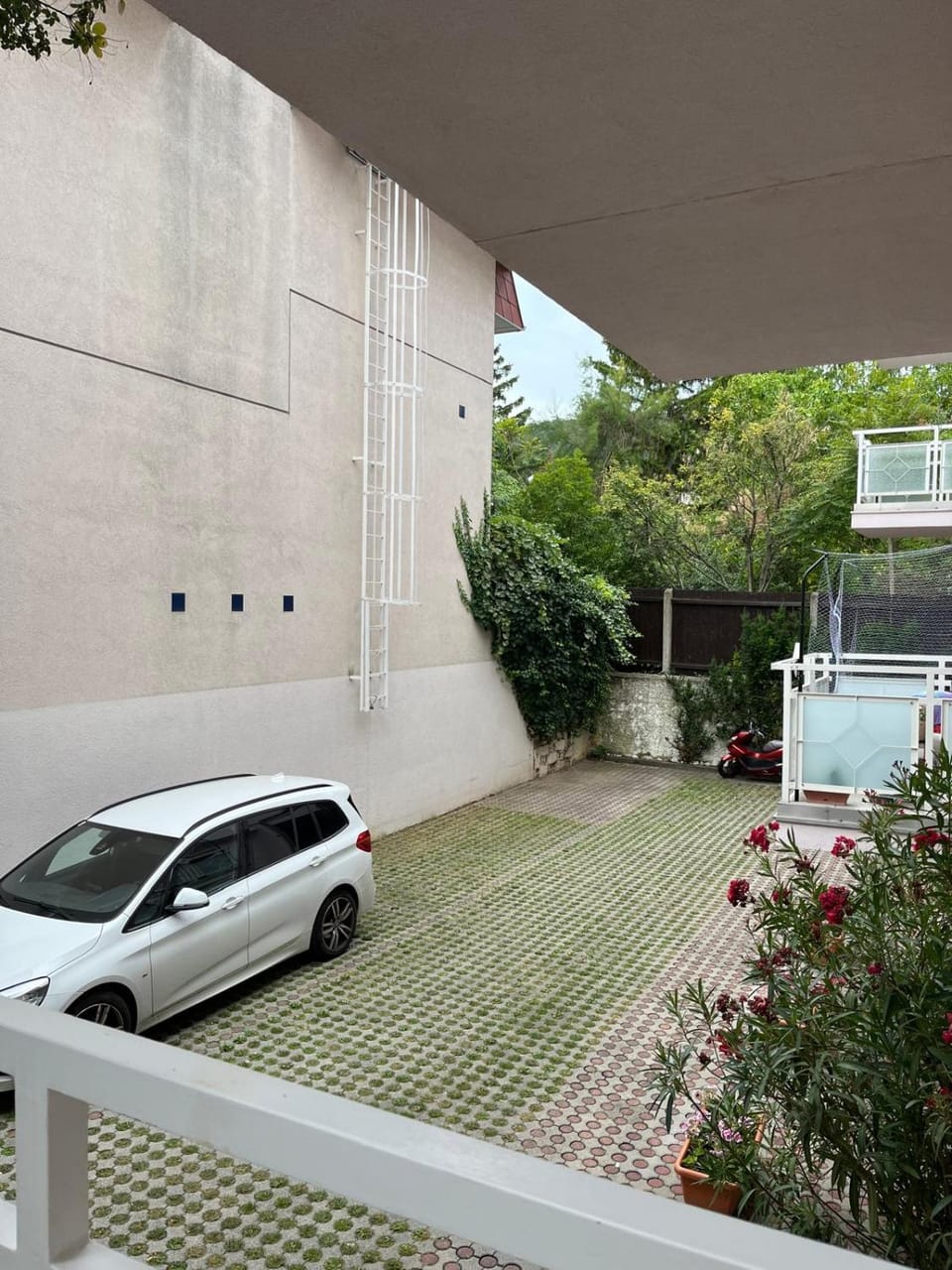 Garden view