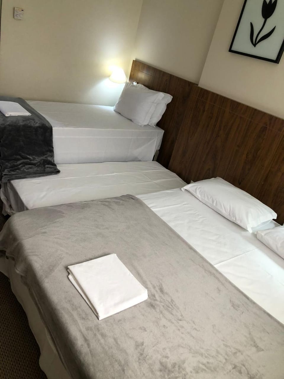 Flat - Go Inn Hotel de Taguatinga - Particular Apartment in State of Goiás