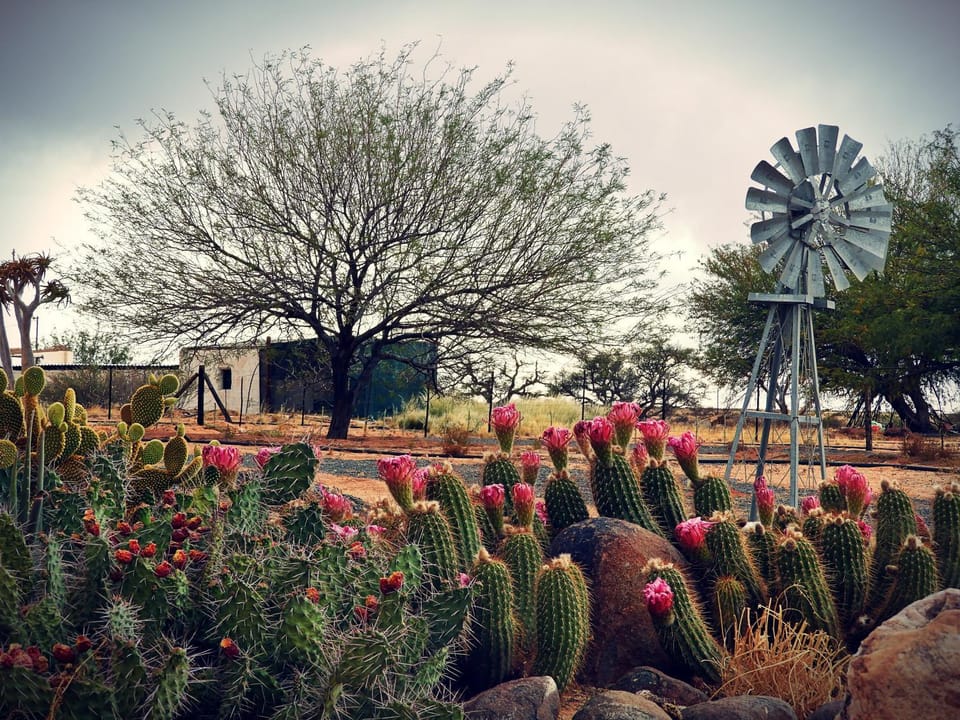 Grunau Country Hotel Hotel in Namibia
