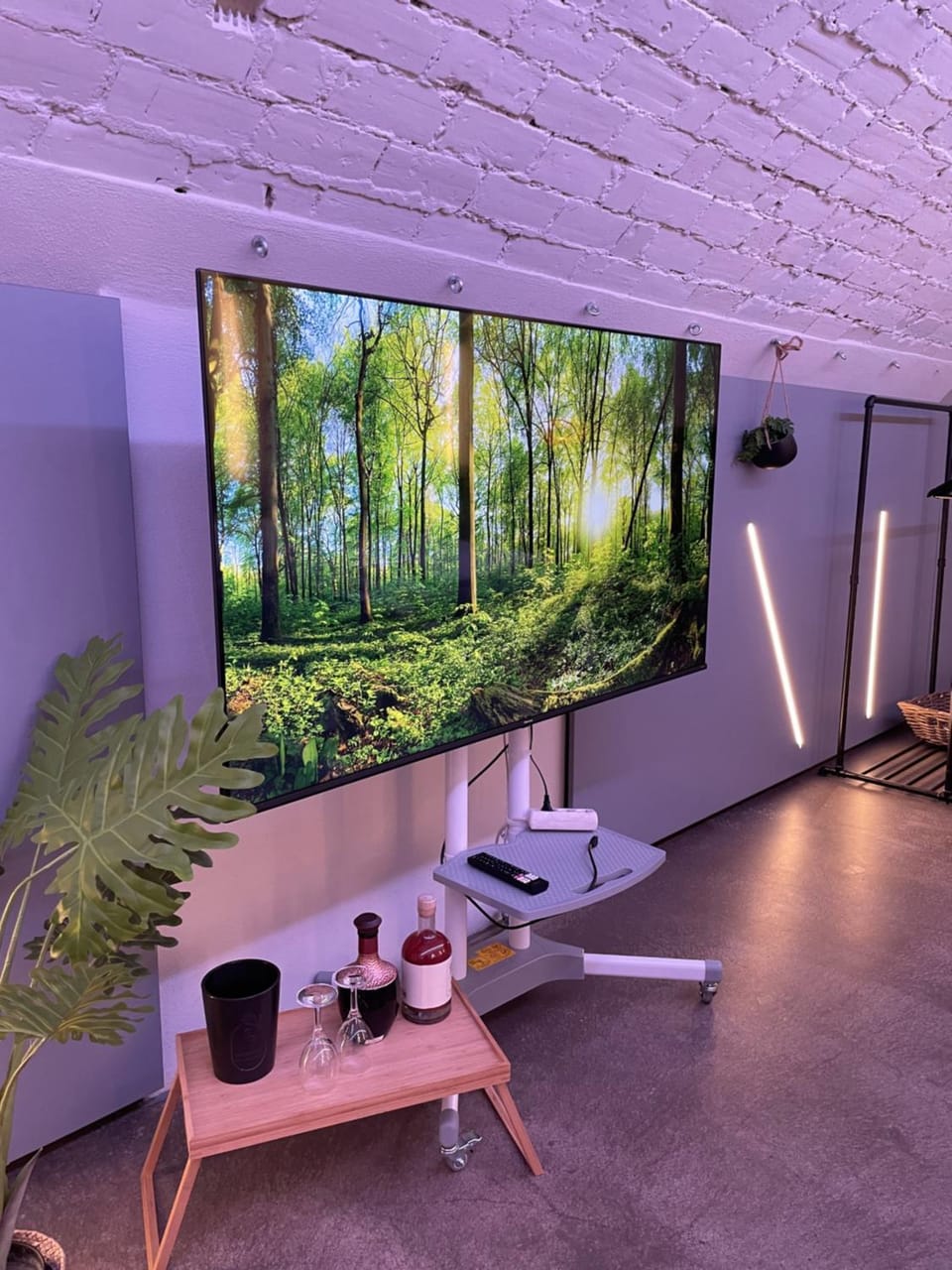 TV and multimedia