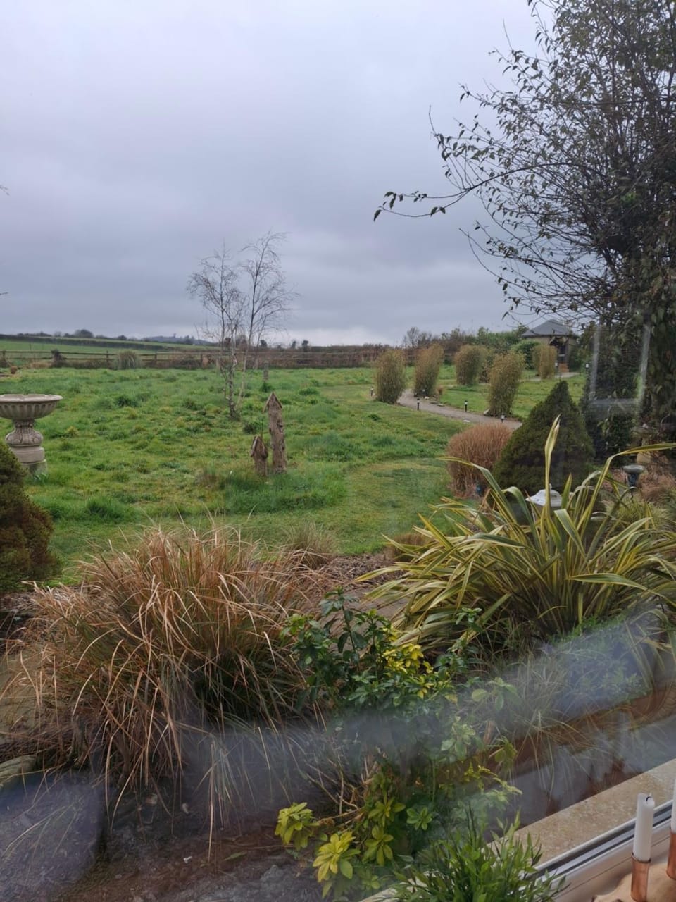 Communal kitchen, Garden view, kitchen