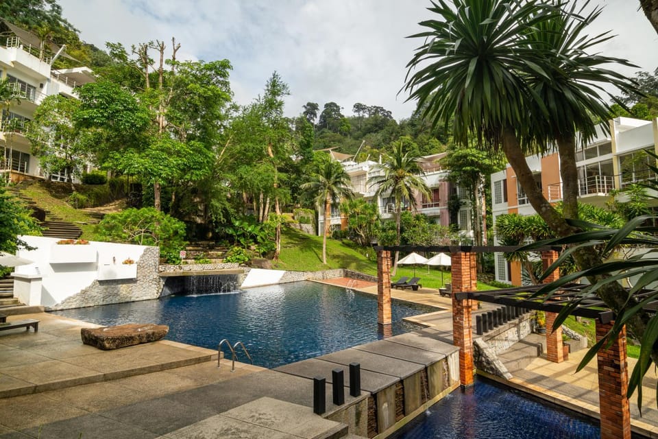 Property building, Day, Natural landscape, Garden, Garden view, Pool view, Swimming pool, Swimming pool, sunbed