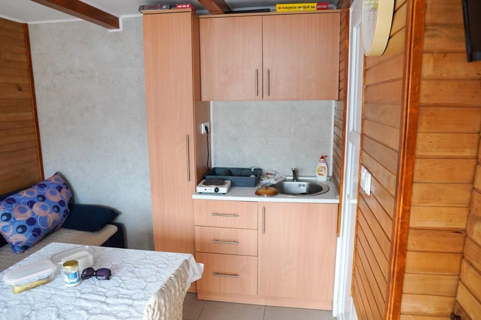 Kitchen or kitchenette, Photo of the whole room, minibar, stove
