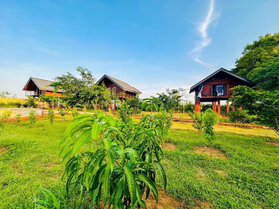 Spring, Natural landscape, Garden, Garden view