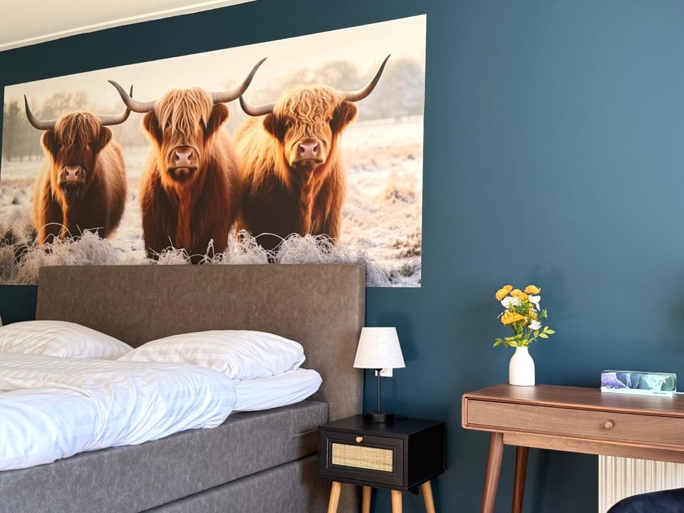 Bed, Photo of the whole room, Bedroom