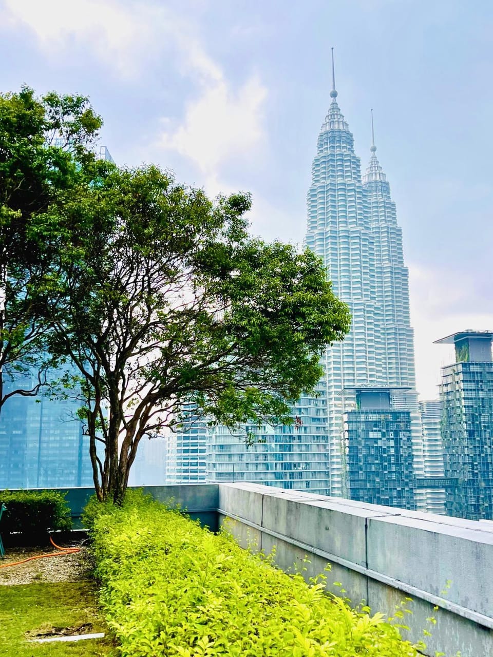 Day, Garden, City view, Garden view