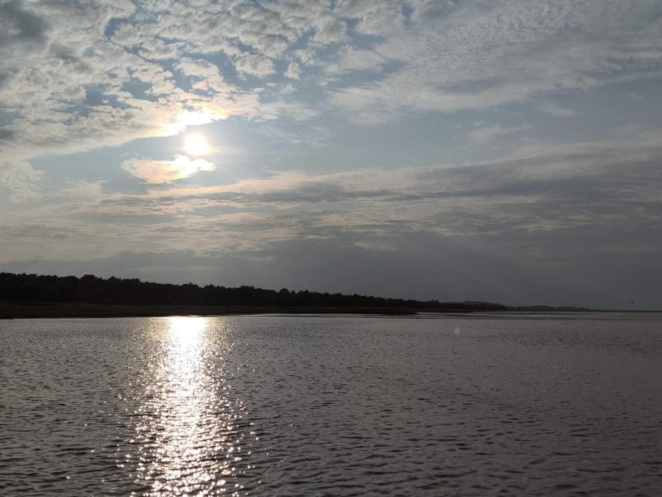 Lake view