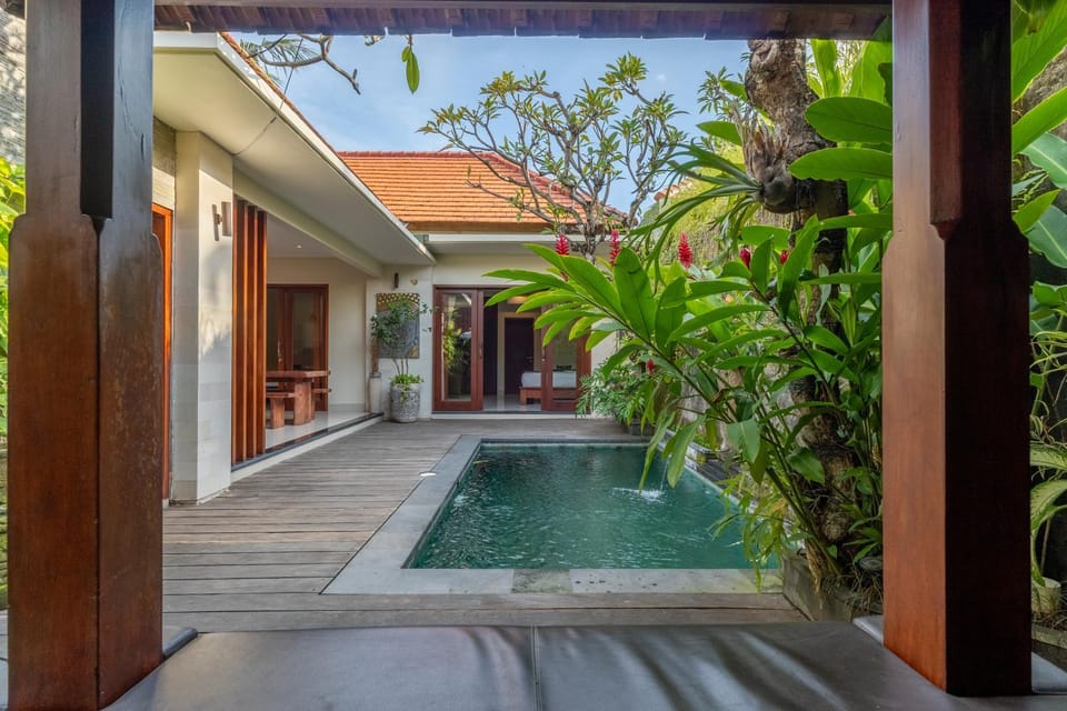 Garden, Garden view, Pool view, Swimming pool