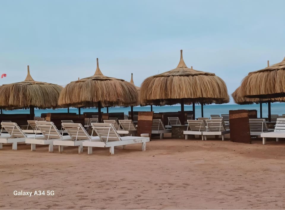 Day, Natural landscape, Beach, Sea view, sunbed