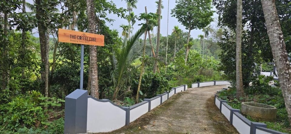 The Coffee Cube House in Kerala