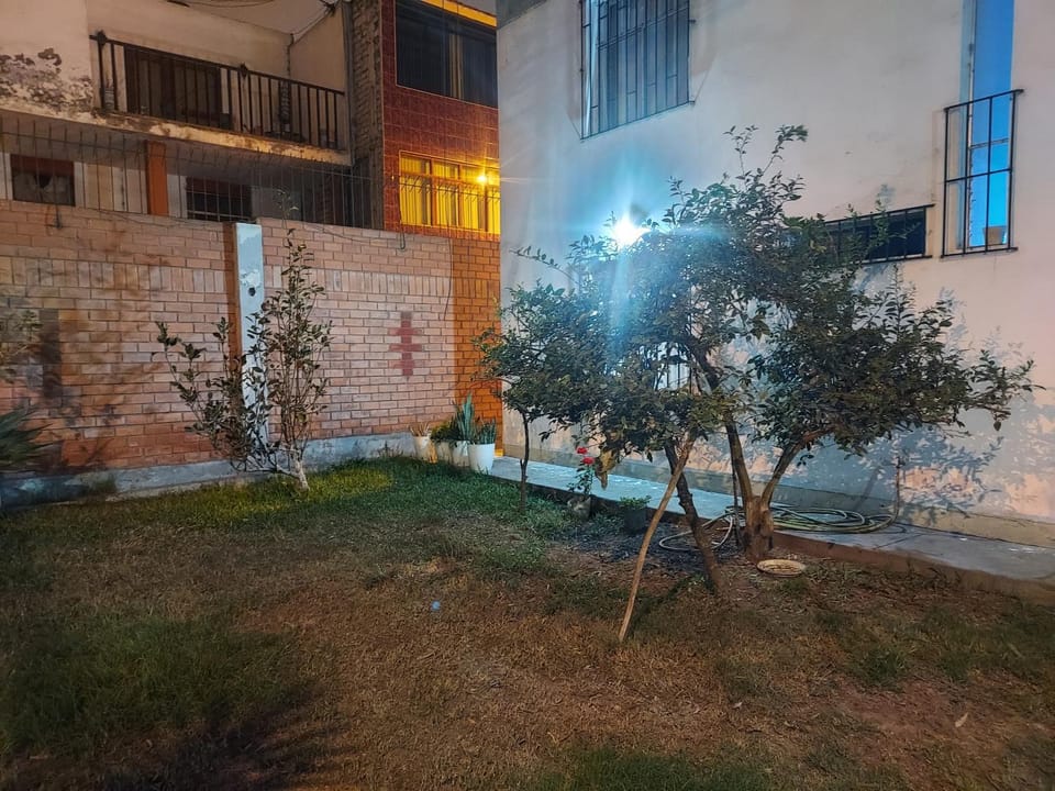 Garden view