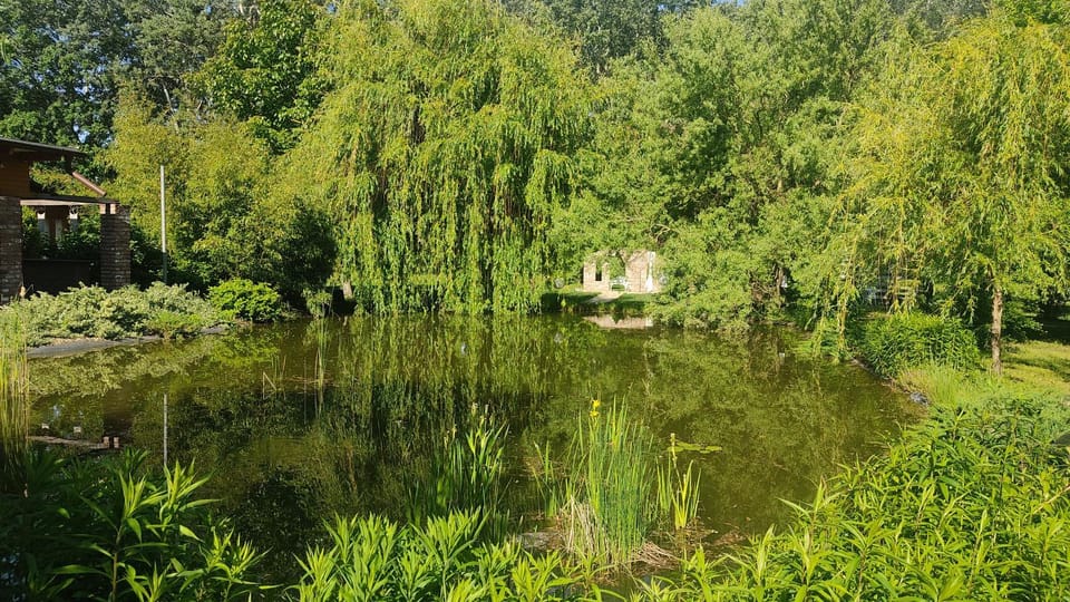 Natural landscape, Garden