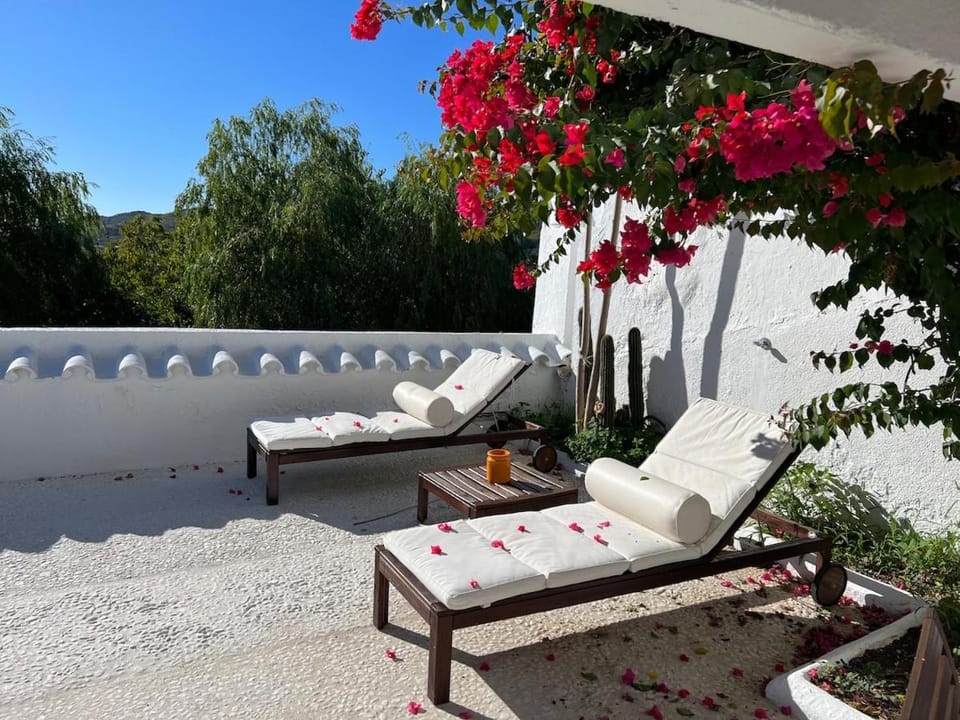 Garden, Garden, Balcony/Terrace