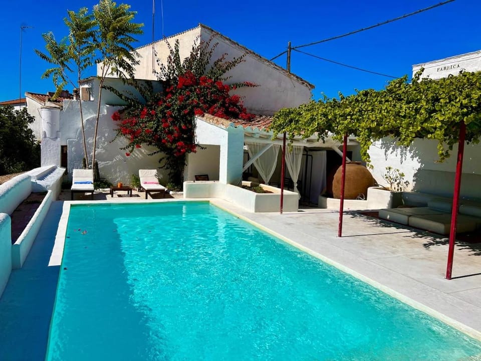 Patio, Pool view, Swimming pool, sunbed