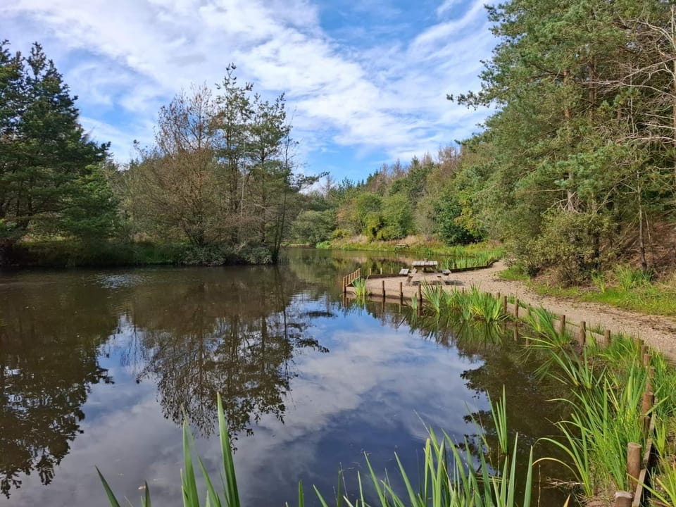 Lake view
