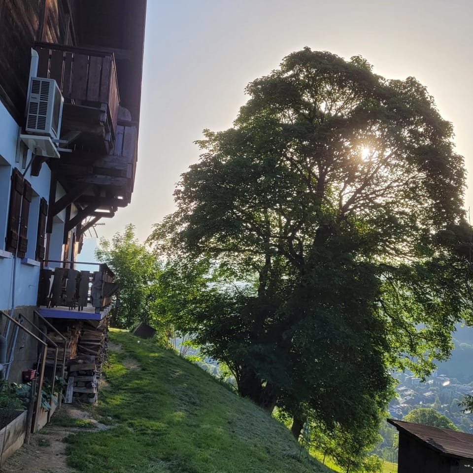 Garden, Balcony/Terrace, Balcony/Terrace