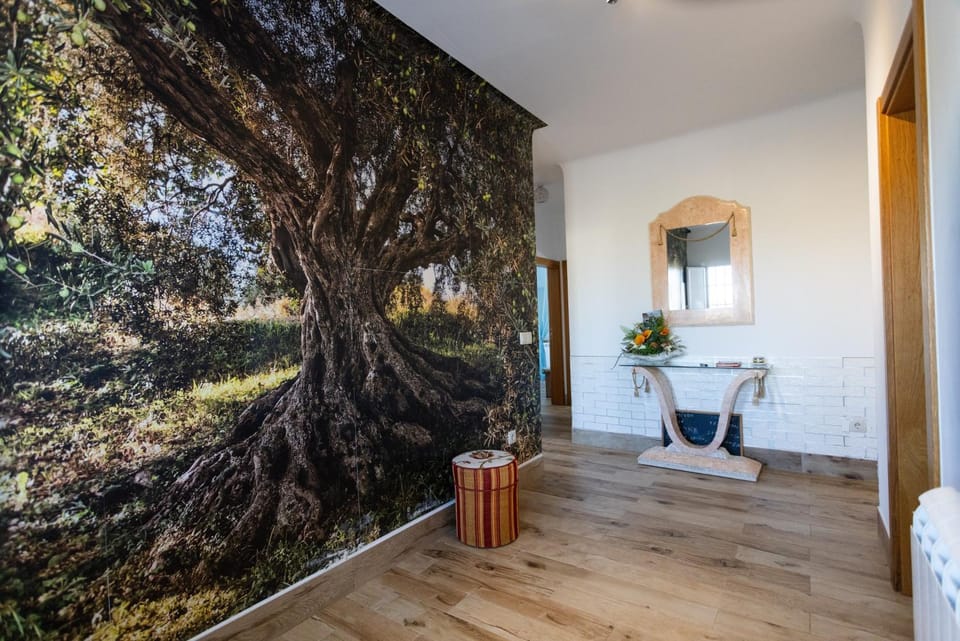 Casa De Campo Das Oliveiras Apartment in Extremadura, Spain