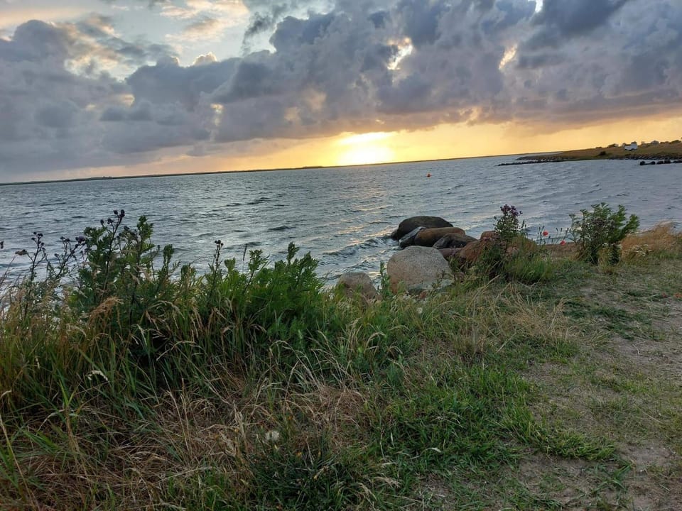 Lake view
