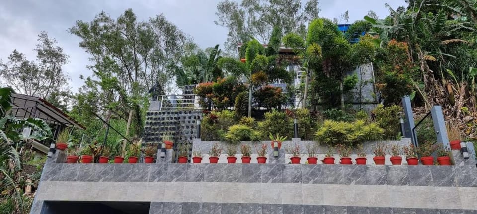Property building, Garden, Garden view