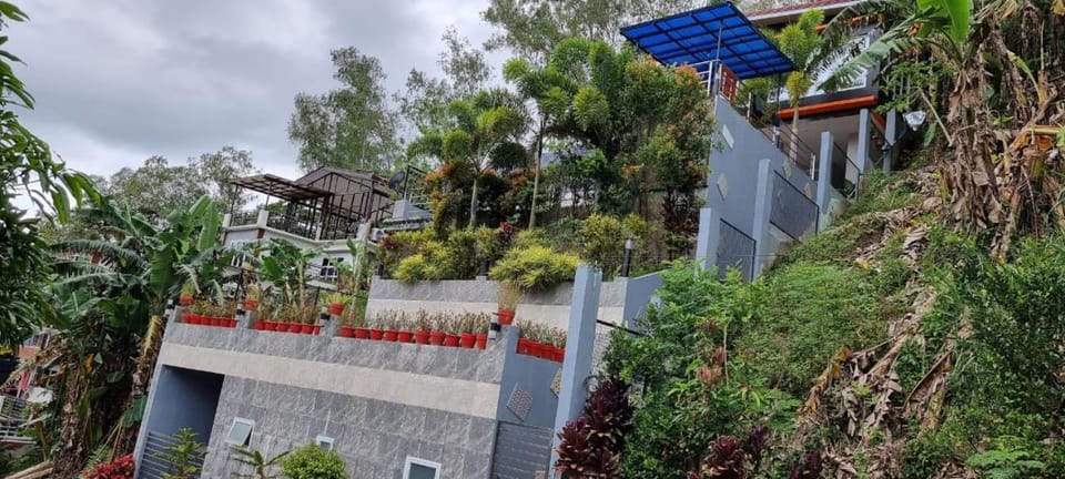 Property building, Garden, Garden view