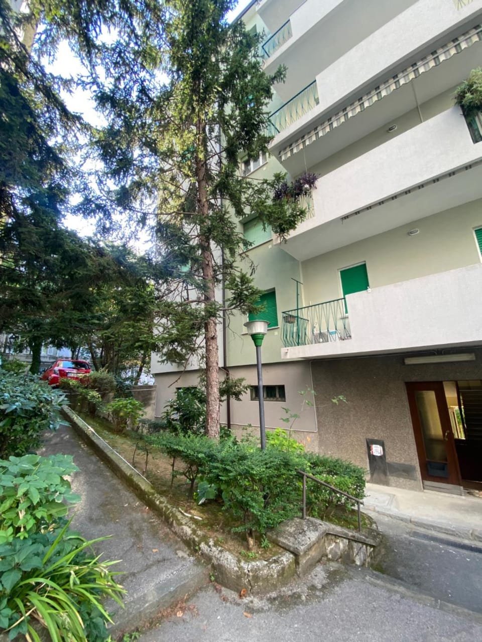 Garden view