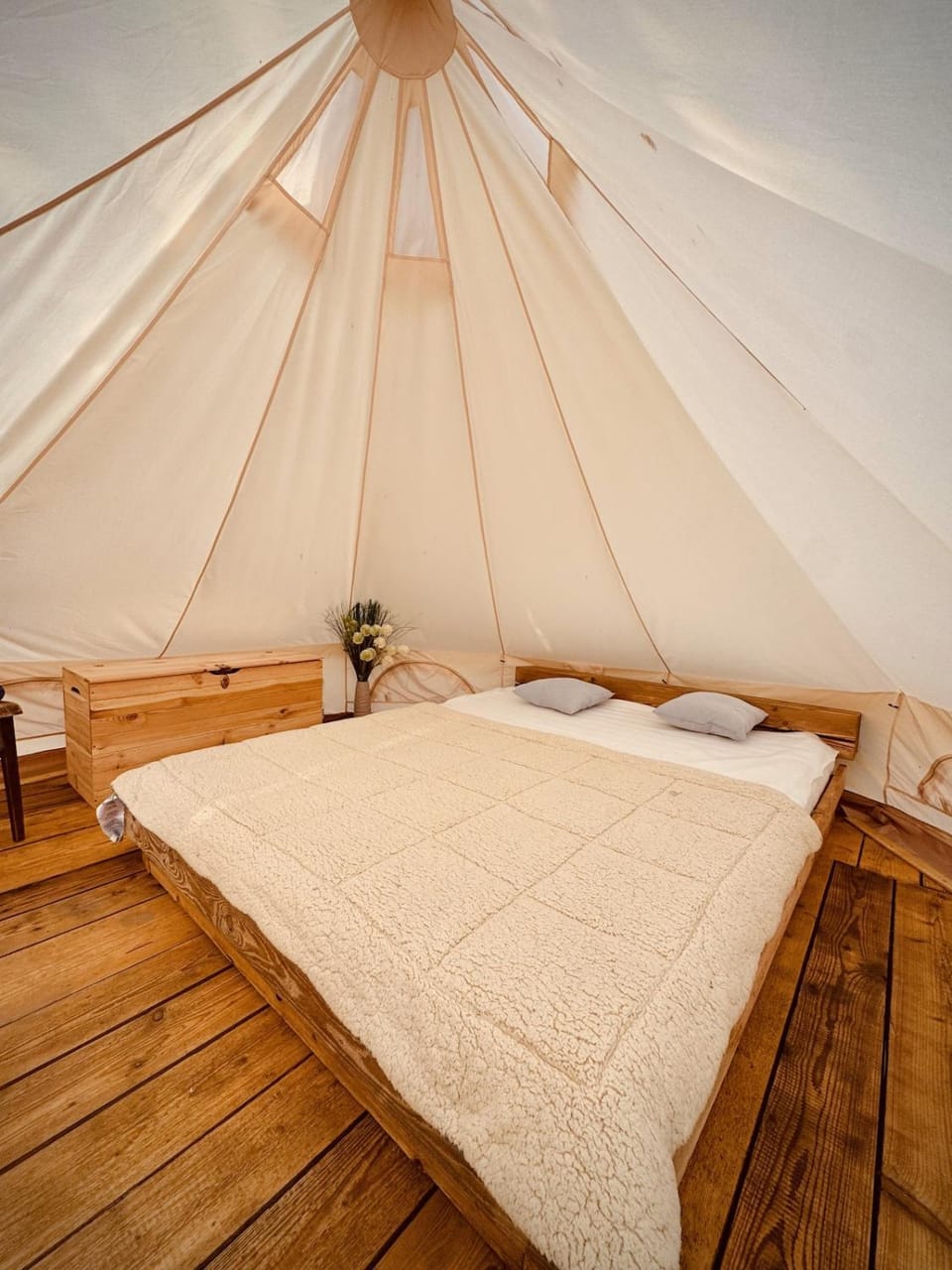 Bed