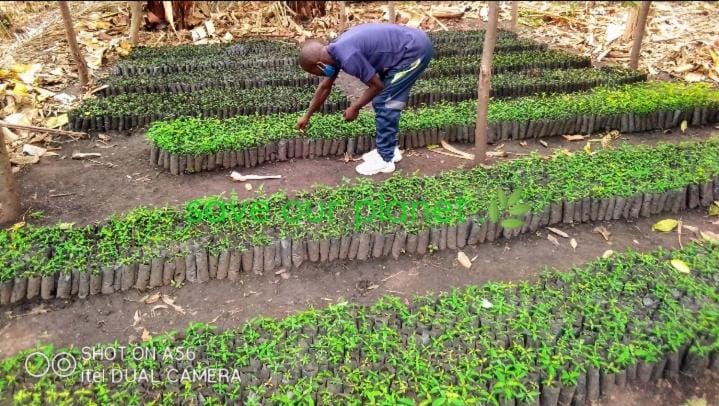 Green Pearl Adventures Bed and Breakfast in Uganda