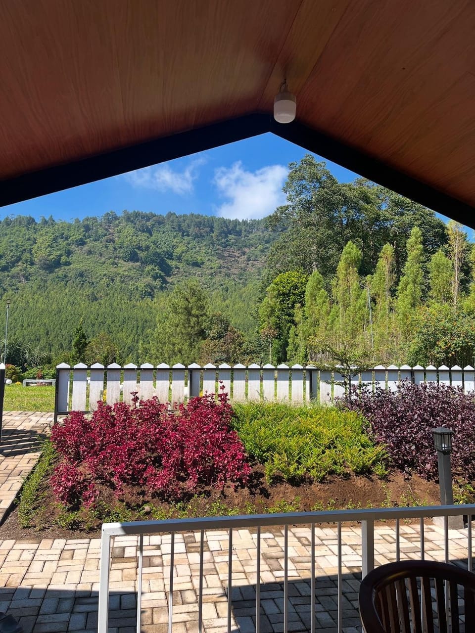 Mountain view