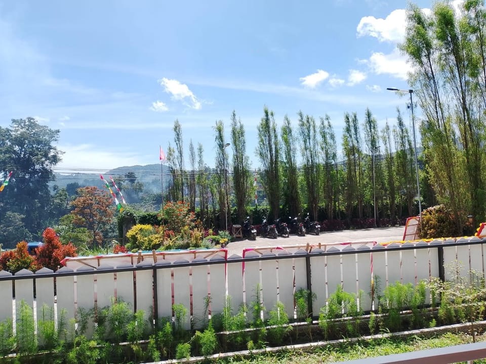 City view, Garden view