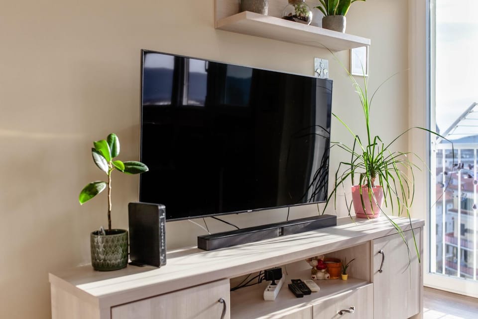TV and multimedia