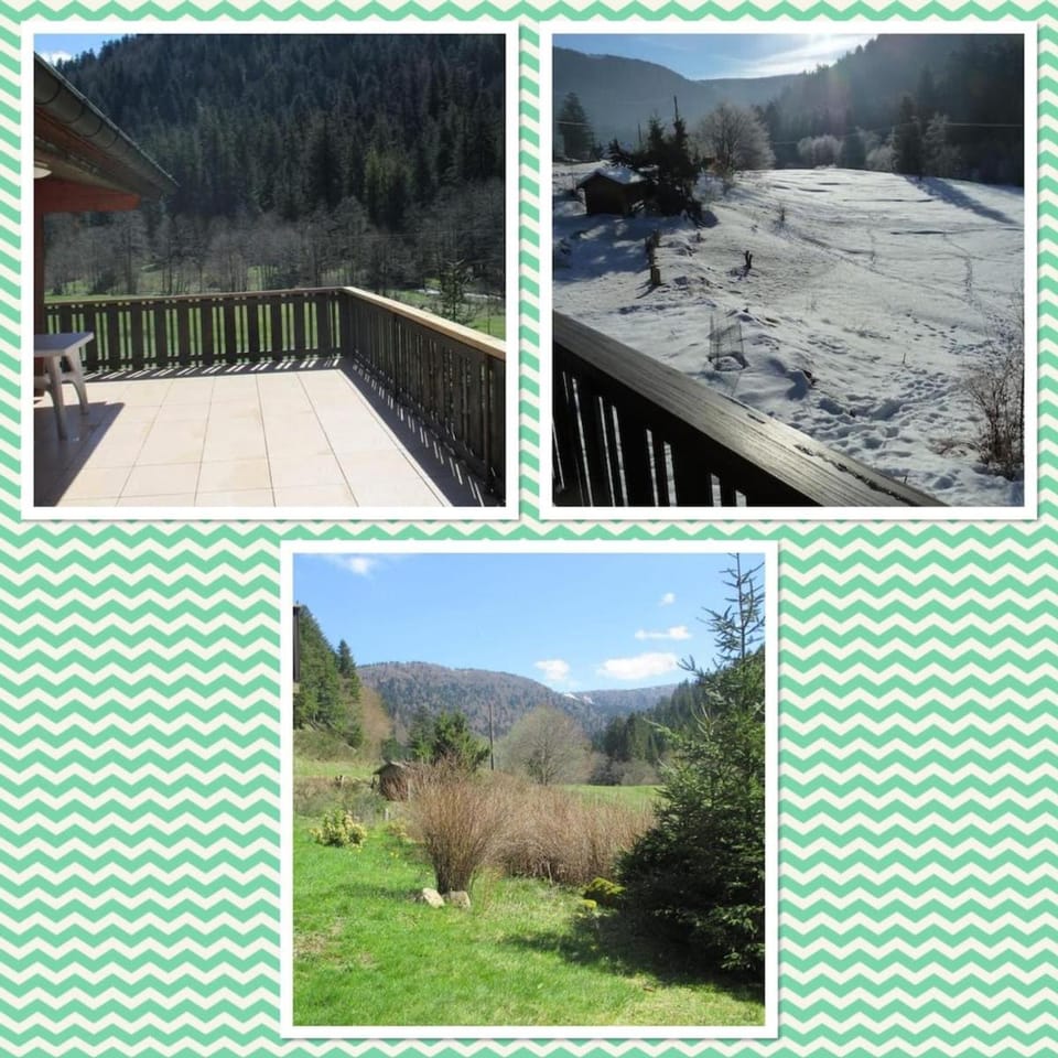 Le chalet des Skieurs Vosges Chalet in Xonrupt-Longemer