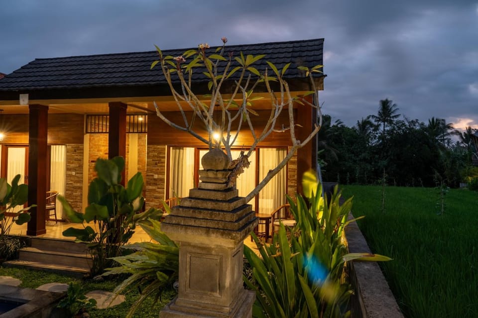 Night, Garden view